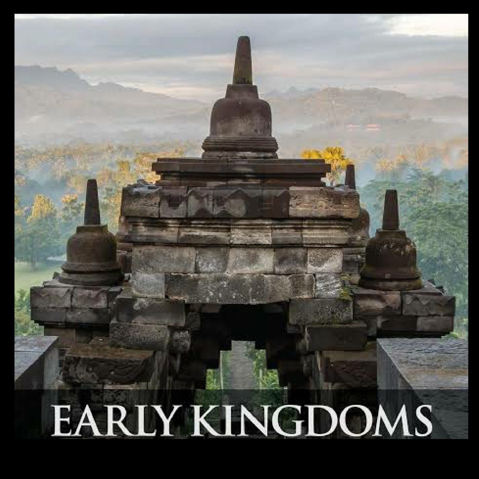 What is a kingdom 🤔